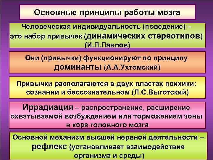 Основные принципы работы мозга Человеческая индивидуальность (поведение) – это набор привычек (динамических стереотипов) (И.