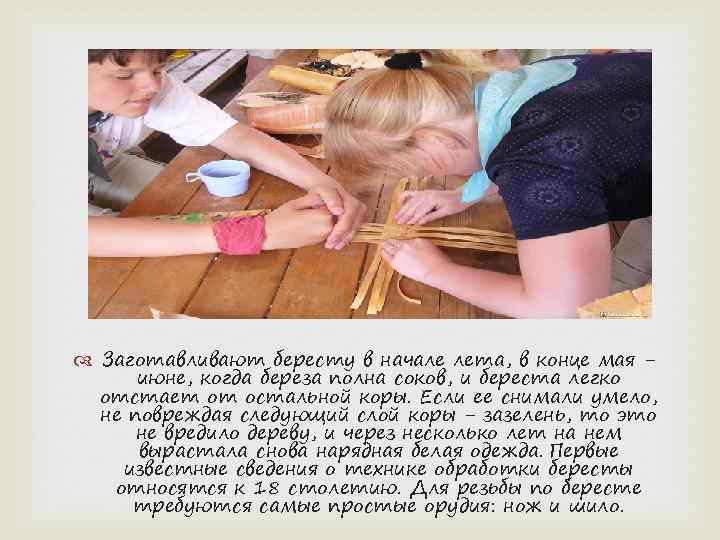  Заготавливают бересту в начале лета, в конце мая июне, когда береза полна соков,