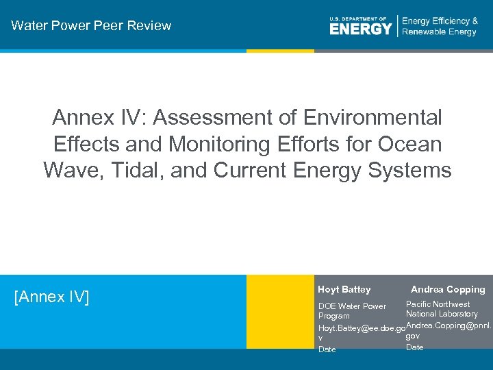 Water Power Peer Review Annex IV: Assessment of Environmental Effects and Monitoring Efforts for