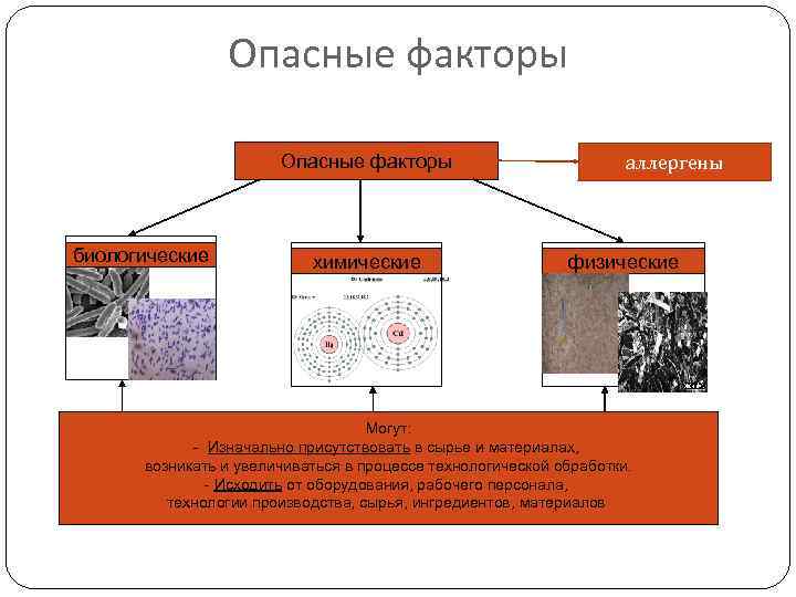 Опасные факторы биологические химические аллергены физические Могут: - Изначально присутствовать в сырье и материалах,