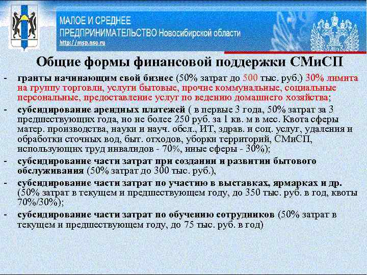 Общие формы финансовой поддержки СМи. СП - гранты начинающим свой бизнес (50% затрат до