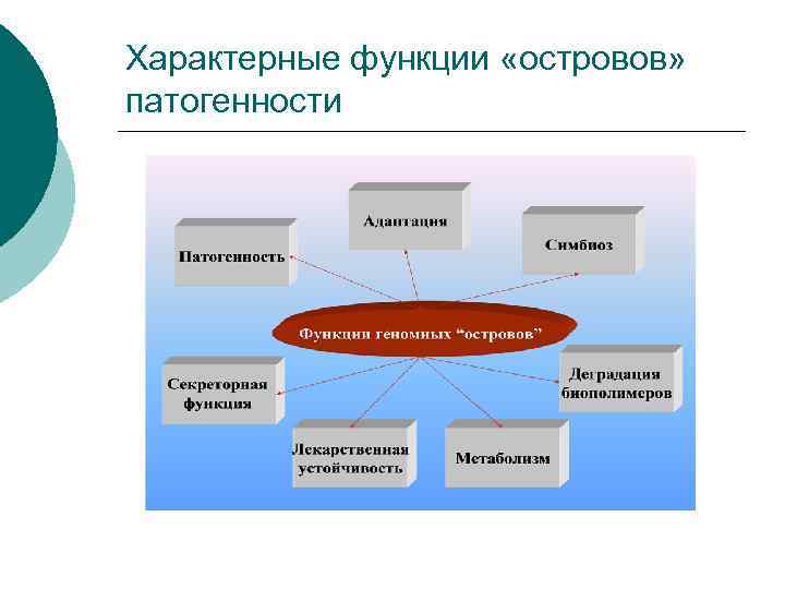 Характерные функции «островов» патогенности 