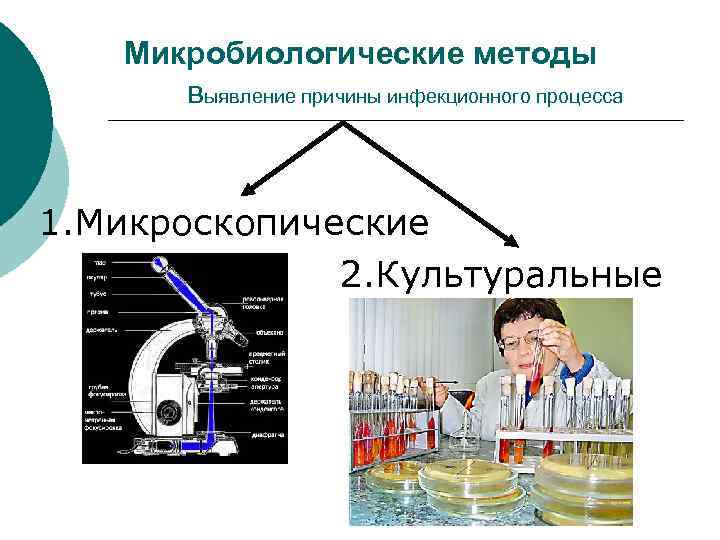 Микробиологические методы выявление причины инфекционного процесса 1. Микроскопические 2. Культуральные 