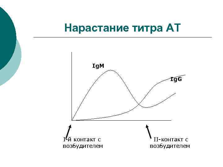 Нарастание титра АТ Ig. M Ig. G I-й контакт с возбудителем II-контакт с возбудителем