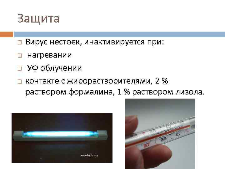 Защита Вирус нестоек, инактивируется при: нагревании УФ облучении контакте с жирорастворителями, 2 % раствором