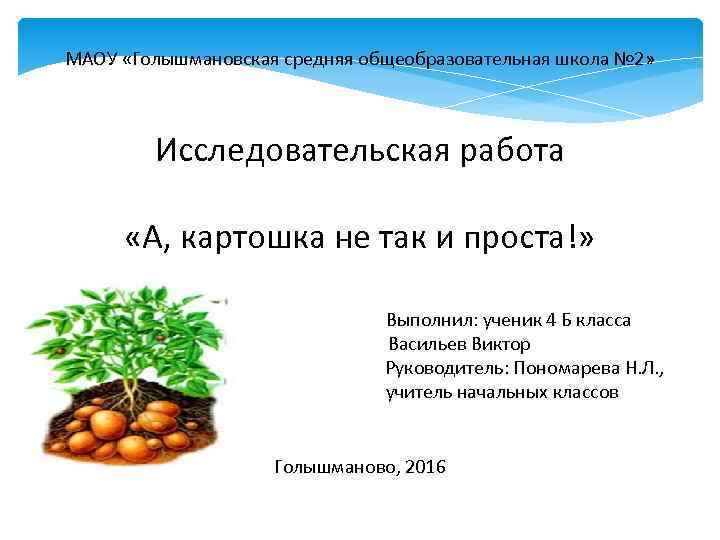 МАОУ «Голышмановская средняя общеобразовательная школа № 2» Исследовательская работа «А, картошка не так и