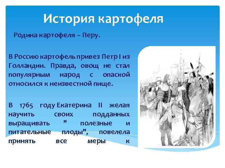 История картофеля Родина картофеля – Перу. В Россию картофель привез Петр І из Голландии.