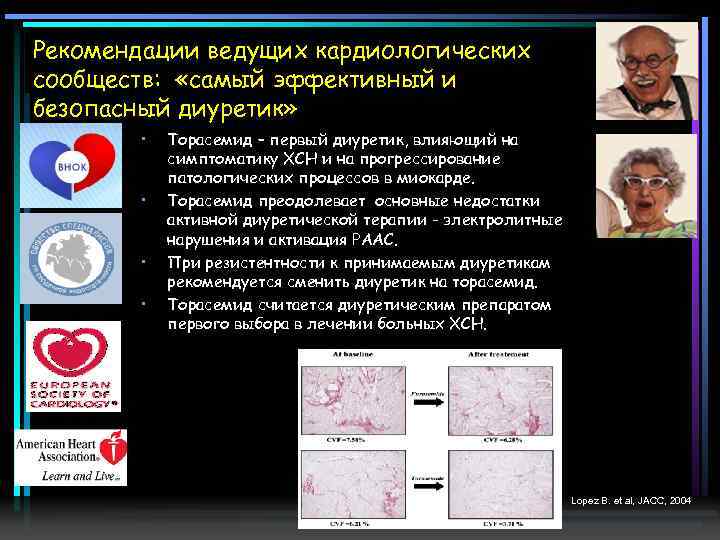 Рекомендации ведущих кардиологических сообществ: «самый эффективный и безопасный диуретик» • • Торасемид – первый