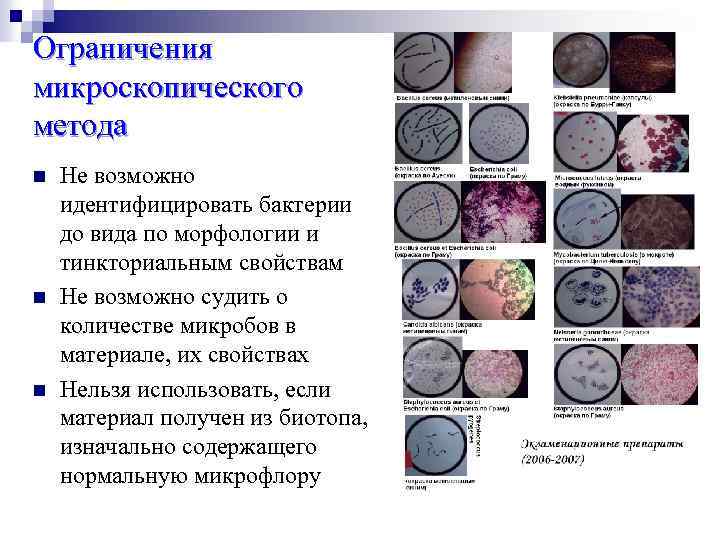 Ограничения микроскопического метода n n n Не возможно идентифицировать бактерии до вида по морфологии