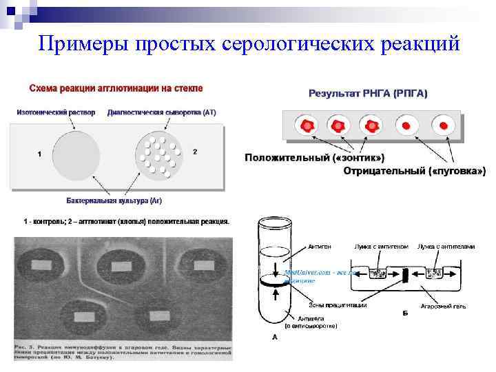 Примеры простых серологических реакций 