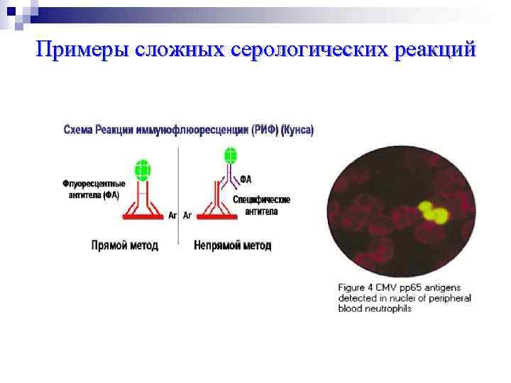 Примеры сложных серологических реакций 