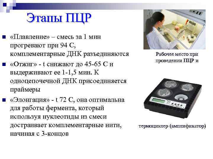 Этапы ПЦР n n n «Плавление» – смесь за 1 мин прогревают при 94