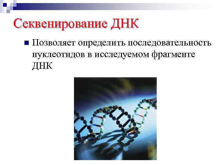 Секвенирования днк. Секвенирование нуклеотидов. Секвенирование ДНК позволяет. Что позволяет секвенирование. Секвенирование ЕГЭ биология.