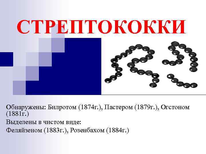 СТРЕПТОКОККИ Обнаружены: Билротом (1874 г. ), Пастером (1879 г. ), Огстоном (1881 г. )