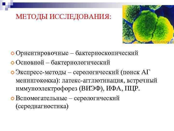 МЕТОДЫ ИССЛЕДОВАНИЯ: Ориентировочные – бактериоскопический Основной – бактериологический Экспресс-методы – серологический (поиск АГ менингококка):