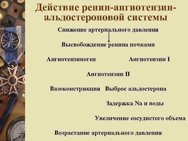 Действие ренин-ангиотензинальдостероновой системы Снижение артериального давления Высвобождение ренина почками Ангиотензиноген Ангиотензин II Вазоконстрикция Выброс