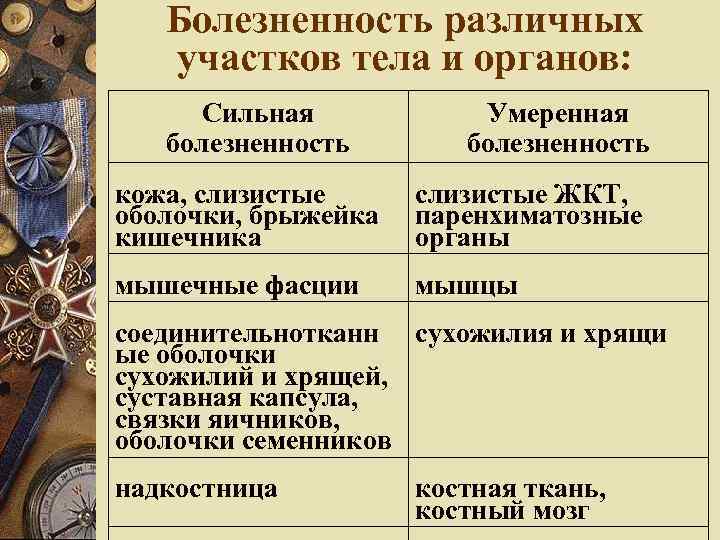 Болезненность различных участков тела и органов: Сильная болезненность Умеренная болезненность кожа, слизистые оболочки, брыжейка