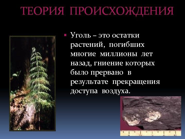 ТЕОРИЯ ПРОИСХОЖДЕНИЯ Уголь – это остатки растений, погибших многие миллионы лет назад, гниение которых