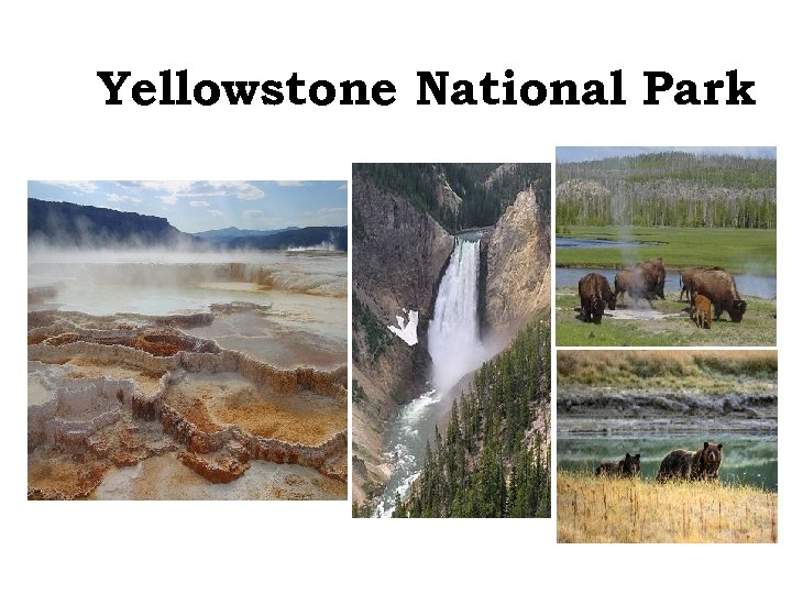 Yellowstone National Park 