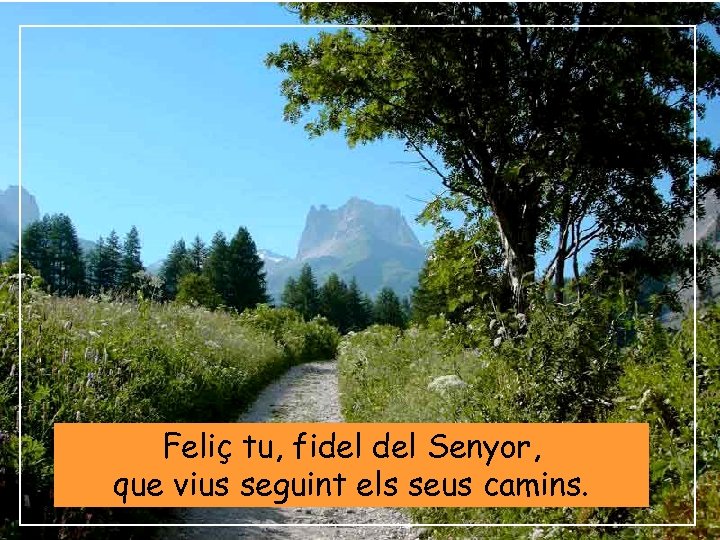 Feliç tu, fidel Senyor, que vius seguint els seus camins. 