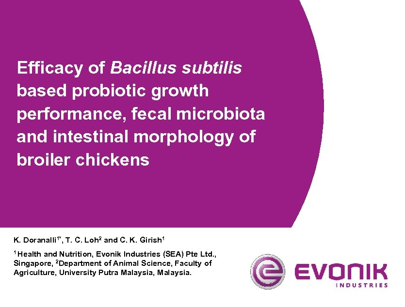 Efficacy of Bacillus subtilis based probiotic growth performance, fecal microbiota and intestinal morphology of