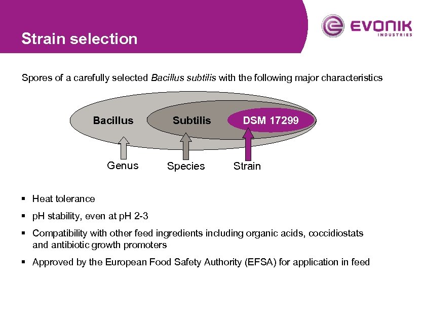 Strain selection Spores of a carefully selected Bacillus subtilis with the following major characteristics