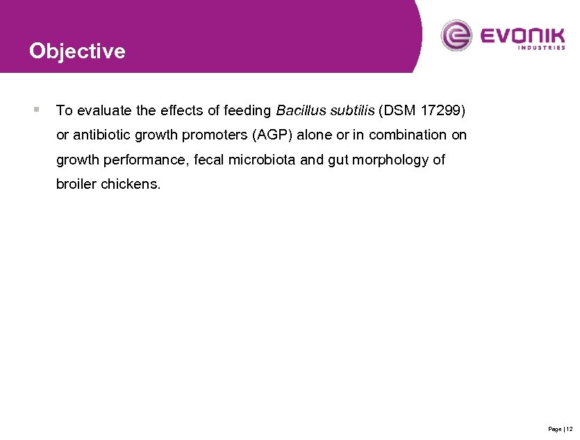 Objective § To evaluate the effects of feeding Bacillus subtilis (DSM 17299) or antibiotic