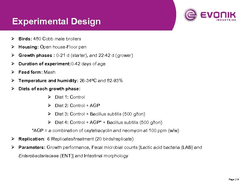 Experimental Design Ø Birds: 480 Cobb male broilers Ø Housing: Open house-Floor pen Ø