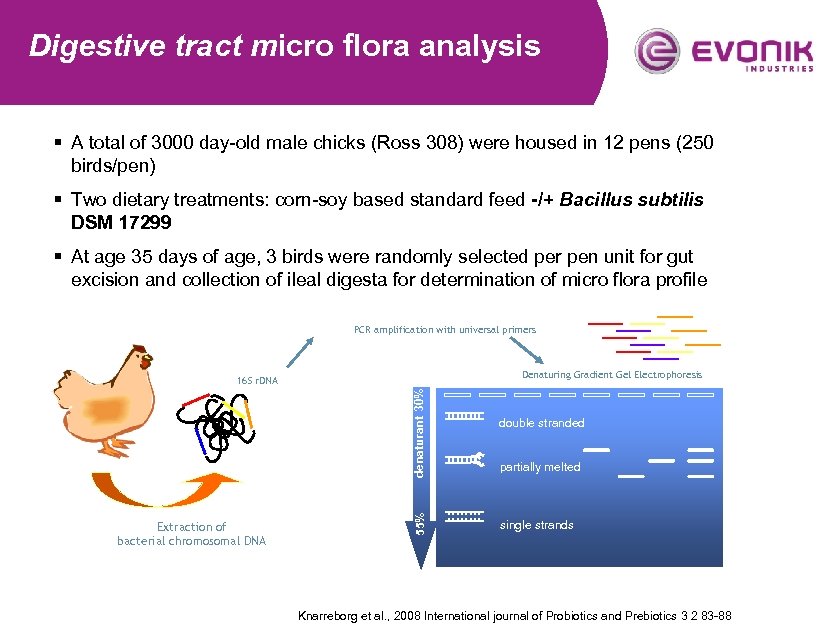 Digestive tract micro flora analysis § A total of 3000 day-old male chicks (Ross