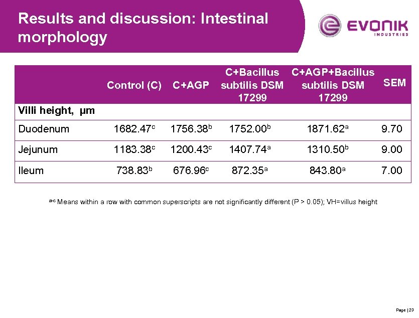 Results and discussion: Intestinal morphology C+Bacillus C+AGP+Bacillus SEM subtilis DSM 17299 Control (C) C+AGP