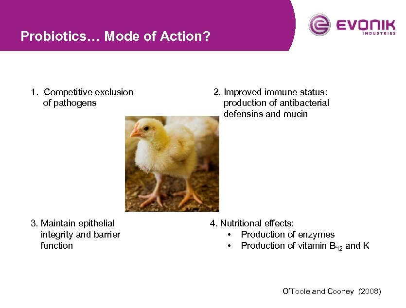 Probiotics… Mode of Action? 1. Competitive exclusion of pathogens 3. Maintain epithelial integrity and