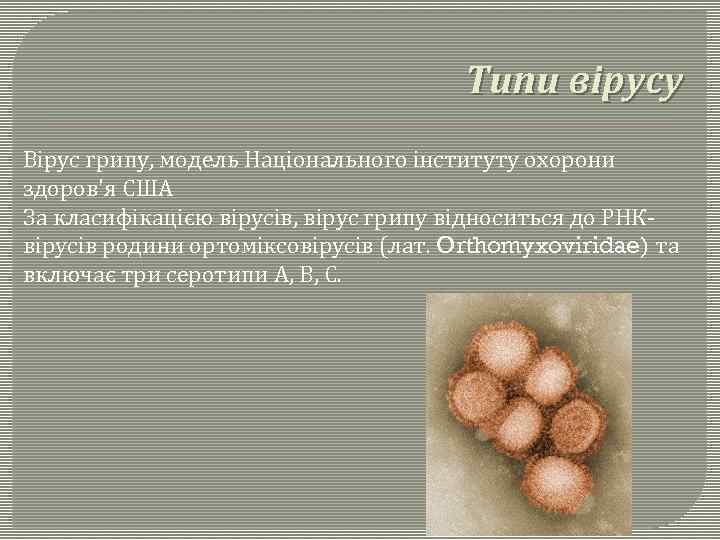 Типи вірусу Вірус грипу, модель Національного інституту охорони здоров'я США За класифікацією вірусів, вірус