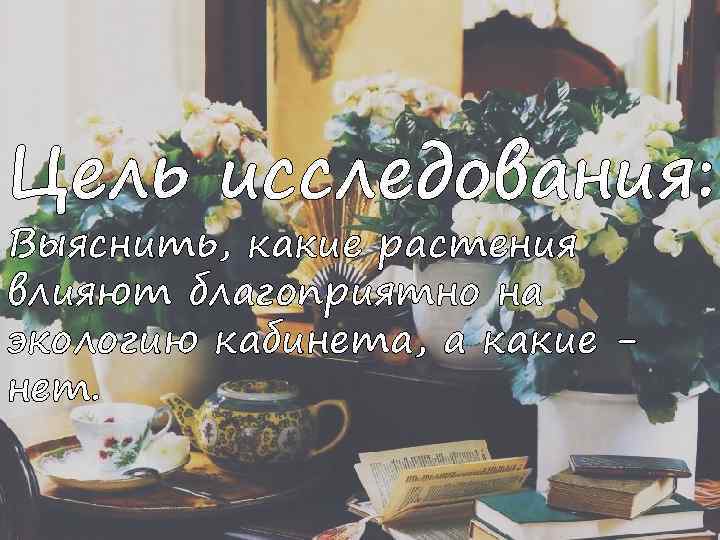 Цель исследования: Выяснить, какие растения влияют благоприятно на экологию кабинета, а какие нет. 