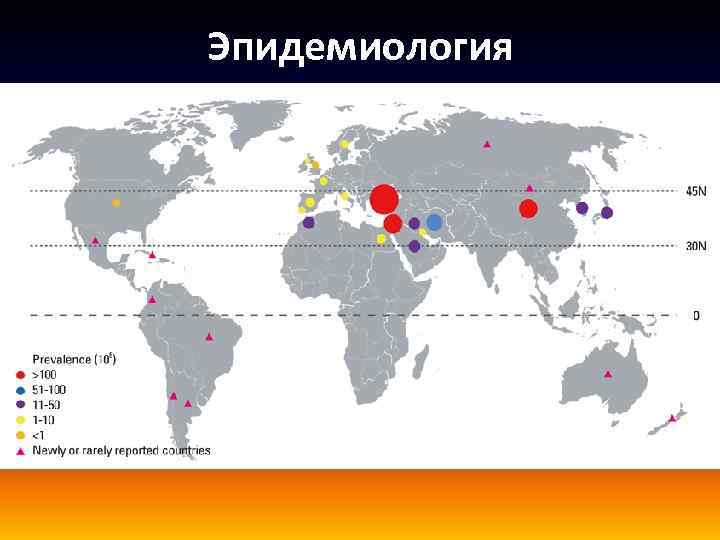 Эпидемиология 