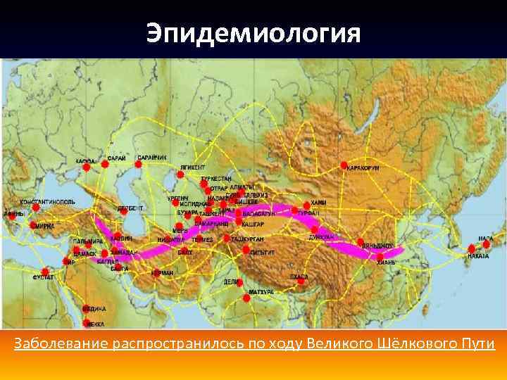 Эпидемиология Заболевание распространилось по ходу Великого Шёлкового Пути 
