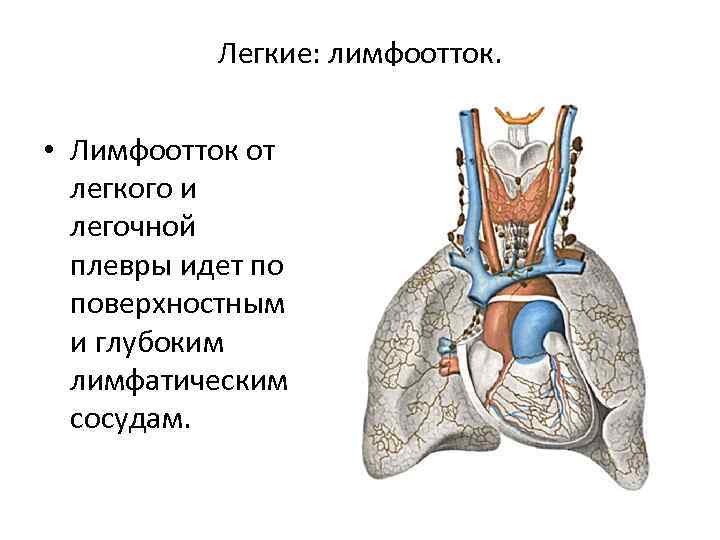 Подкожная эмфизема грудной клетки фото