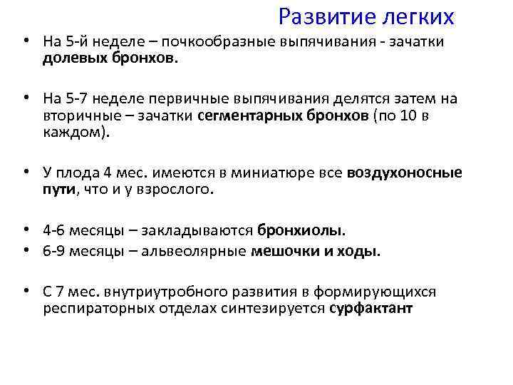 Развитие легких • На 5 й неделе – почкообразные выпячивания зачатки долевых бронхов. •