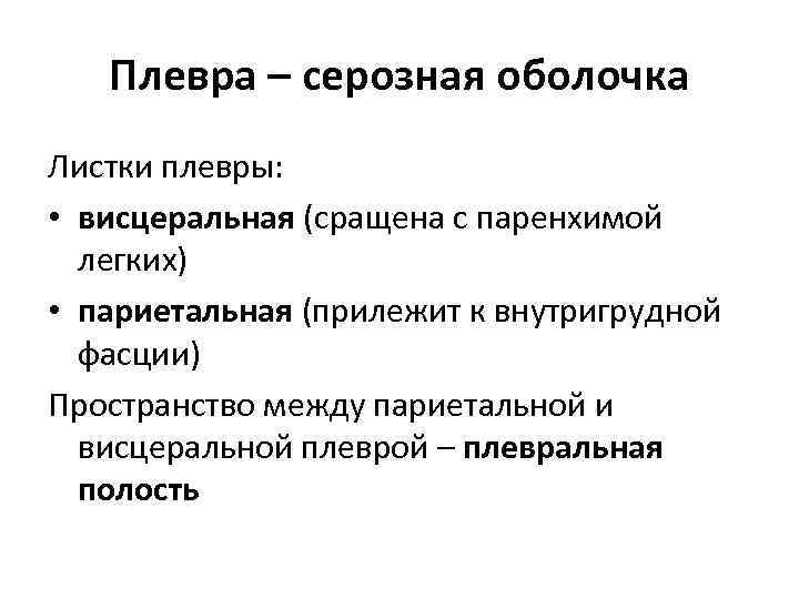 Плевра – серозная оболочка Листки плевры: • висцеральная (сращена с паренхимой легких) • париетальная