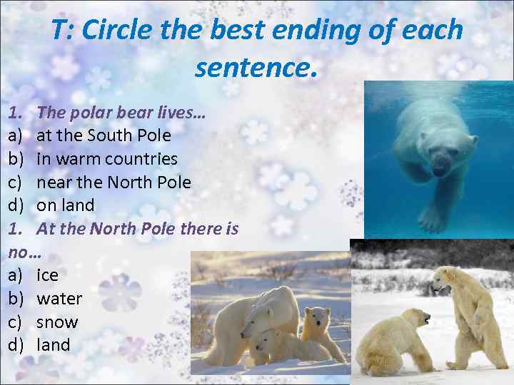 T: Circle the best ending of each sentence. 1. The polar bear lives… a)