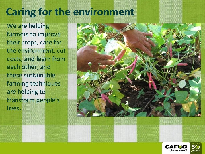 Caring for the environment We are helping farmers to improve their crops, care for