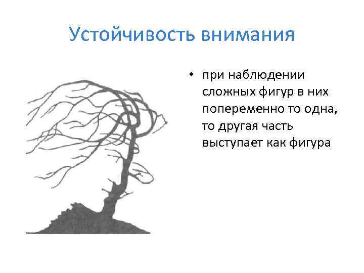 Внимание это сторона. Устойчивость внимания. Устойчивость внимания это в психологии. Устойчивое внимание это в психологии. Устойчивость внимания картинки.