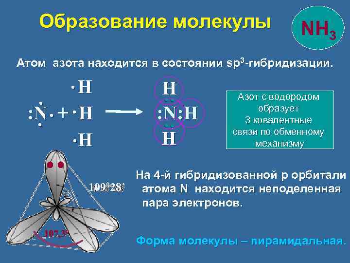 Образование молекулы NH 3 Атом азота находится в состоянии sp 3 -гибридизации. 107, 30