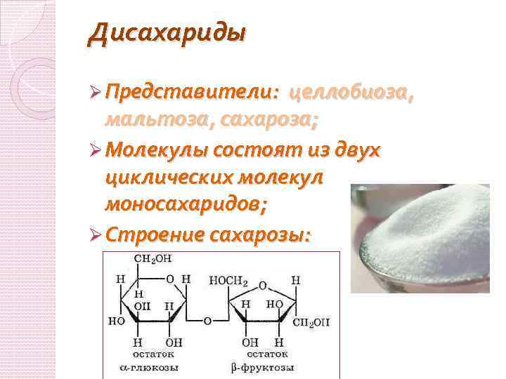 Дисахариды Ø Представители: целлобиоза, мальтоза, сахароза; Ø Молекулы состоят из двух циклических молекул моносахаридов;