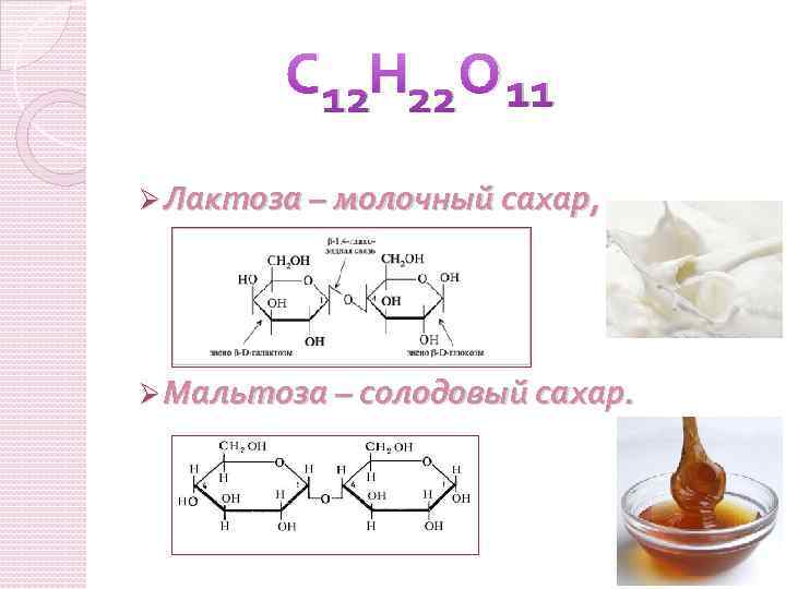 С 12 Н 22 О 11 Ø Лактоза – молочный сахар, Ø Мальтоза –