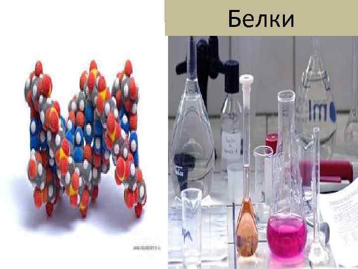 Белки 