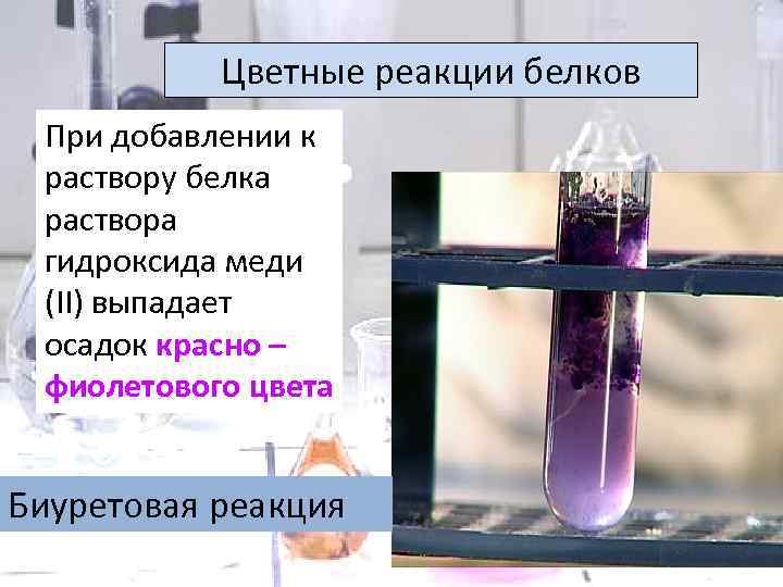 Цветные реакции белков При добавлении к раствору белка раствора гидроксида меди (II) выпадает осадок