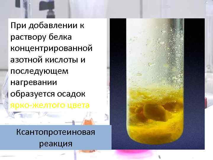 При добавлении к раствору белка концентрированной азотной кислоты и последующем нагревании образуется осадок ярко-желтого