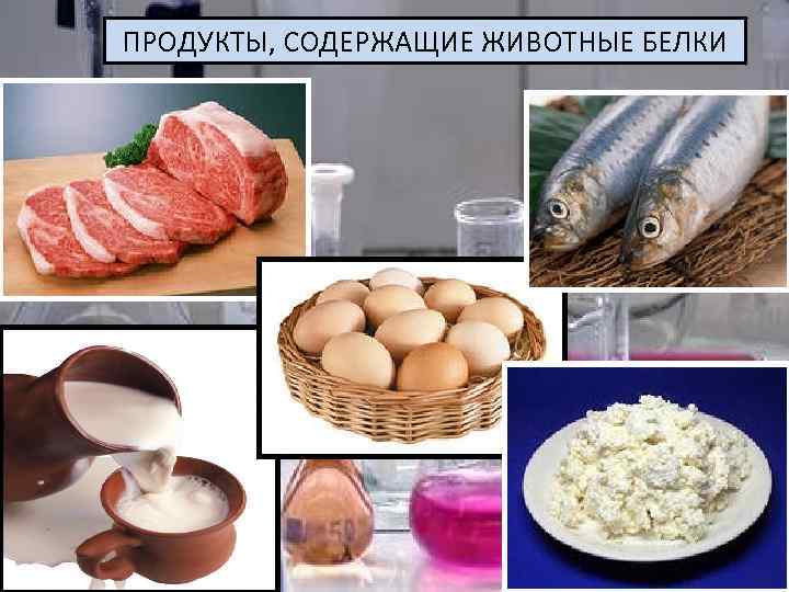 ПРОДУКТЫ, СОДЕРЖАЩИЕ ЖИВОТНЫЕ БЕЛКИ 