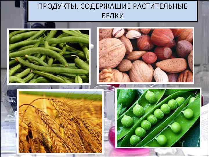 ПРОДУКТЫ, СОДЕРЖАЩИЕ РАСТИТЕЛЬНЫЕ БЕЛКИ 