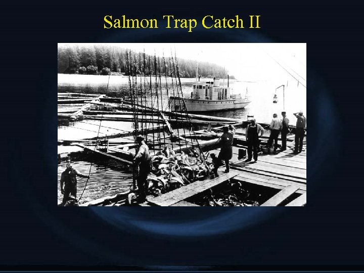 Salmon Trap Catch II 